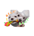 ぼくチョビン（個別スタンプ：10）