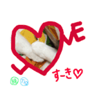 TRMスタンプ (猫・ネコ)（個別スタンプ：16）