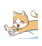 Little Meow（個別スタンプ：2）