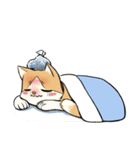 Little Meow（個別スタンプ：4）