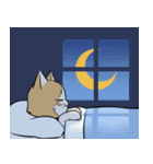 Little Meow（個別スタンプ：10）