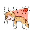 Little Meow（個別スタンプ：11）