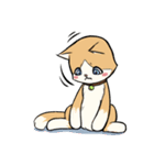 Little Meow（個別スタンプ：14）