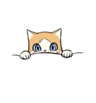 Little Meow（個別スタンプ：16）