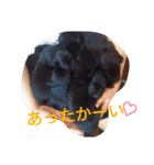 犬好きのための可愛いスタンプ。（個別スタンプ：3）