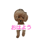 EightkunRight（個別スタンプ：1）