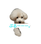 EightkunRight（個別スタンプ：2）