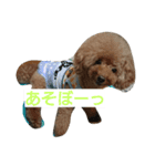 EightkunRight（個別スタンプ：3）