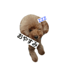 EightkunRight（個別スタンプ：5）