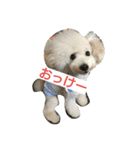 EightkunRight（個別スタンプ：6）