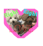 EightkunRight（個別スタンプ：8）