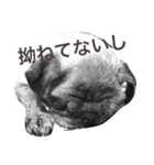tancoco2（個別スタンプ：10）