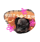 tancoco2（個別スタンプ：16）