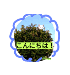 鮪吉(ツナキチ、つなきち)（個別スタンプ：5）