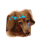 可愛いラブリー（個別スタンプ：2）