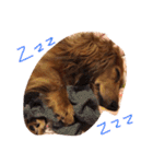 可愛いラブリー（個別スタンプ：7）