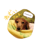 可愛いラブリー（個別スタンプ：12）