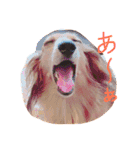 可愛いラブリー（個別スタンプ：13）