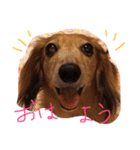 可愛いラブリー（個別スタンプ：15）