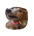 可愛いラブリー（個別スタンプ：18）