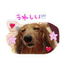 可愛いラブリー（個別スタンプ：22）