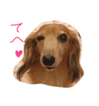可愛いラブリー（個別スタンプ：24）