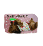 ぷりにゃ（個別スタンプ：1）