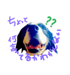 バロン犬（個別スタンプ：7）