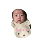 はるぴこ（個別スタンプ：5）
