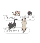 【まい】猫だらけの吹き出し（個別スタンプ：3）