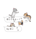 【まい】猫だらけの吹き出し（個別スタンプ：15）