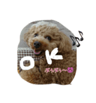 ラム君.タナカ（個別スタンプ：1）