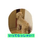あいどる Peco part.3（個別スタンプ：3）