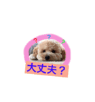あいどる Peco part.3（個別スタンプ：6）