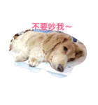 QQ so cute（個別スタンプ：5）