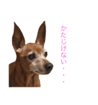 チョコ03（個別スタンプ：2）