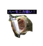 バス釣り！（個別スタンプ：2）