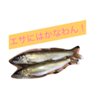バス釣り！（個別スタンプ：4）