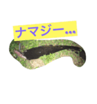 バス釣り！（個別スタンプ：6）