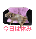 いおたん（個別スタンプ：3）