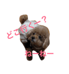 いおたん（個別スタンプ：4）