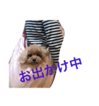いおたん（個別スタンプ：5）
