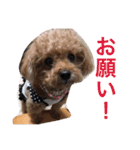 いおたん（個別スタンプ：7）