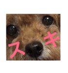 いおたん（個別スタンプ：10）