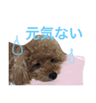 いおたん（個別スタンプ：14）