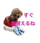 いおたん（個別スタンプ：17）