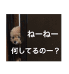 いおたん（個別スタンプ：18）