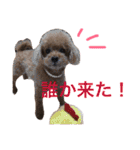 いおたん（個別スタンプ：19）