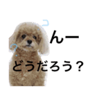 いおたん（個別スタンプ：20）