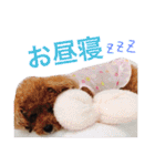 いおたん（個別スタンプ：22）